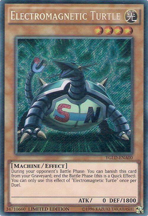 Electromagnetic Turtle