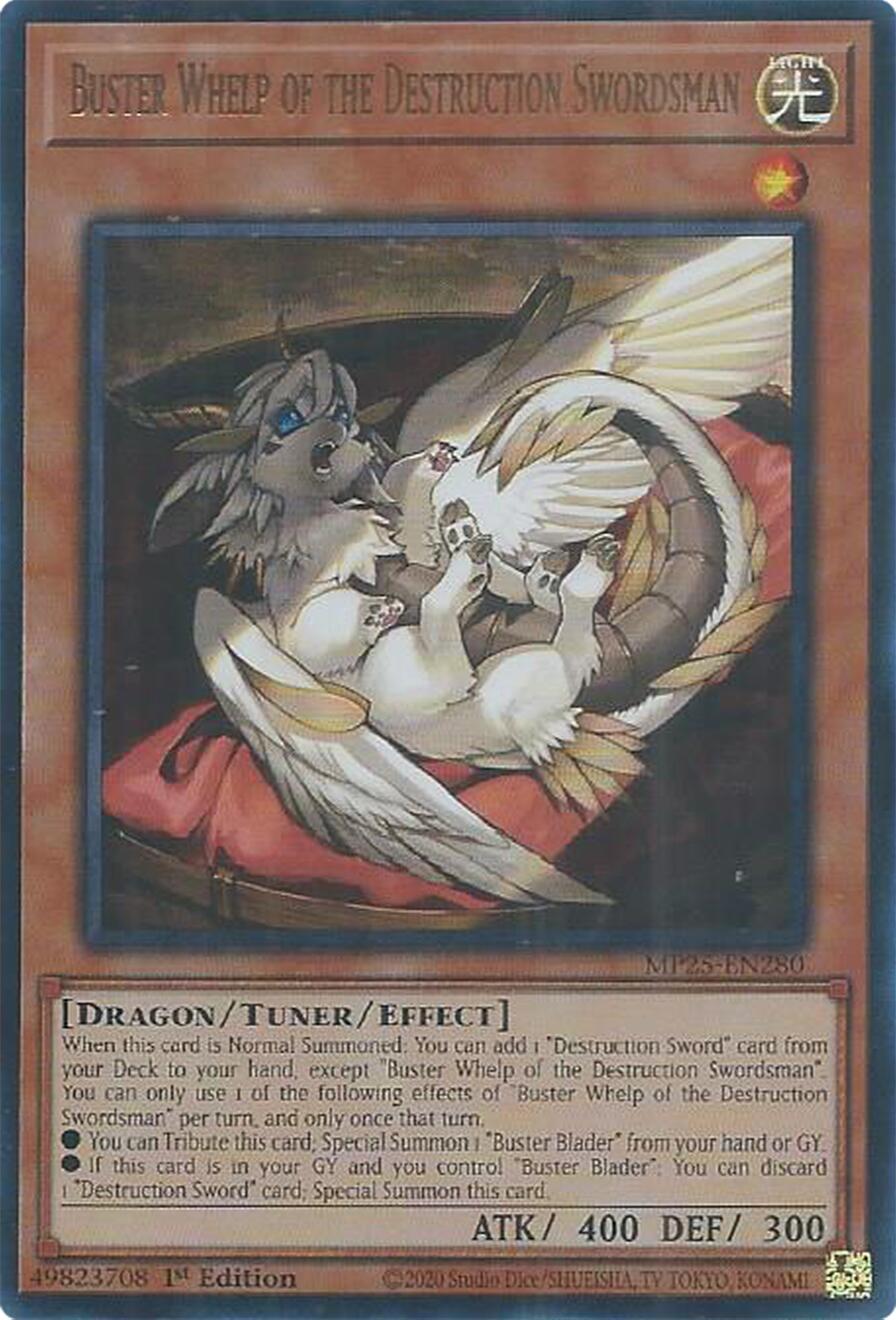 Buster Whelp of the Destruction Swordsman